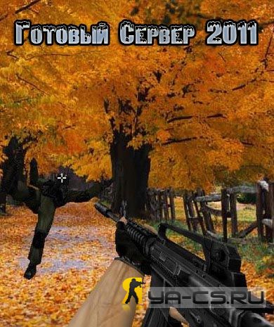Public Server 2011
