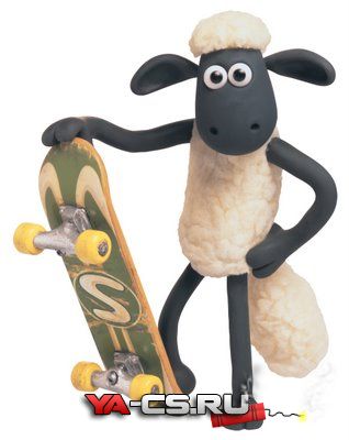shaunskatestandqe1.jpg