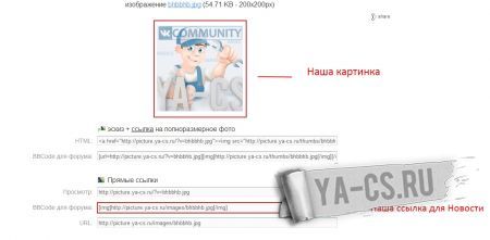 pic1.jpg