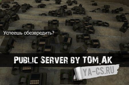Public Server by TOM.AK