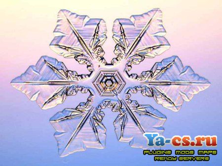 snow05.jpg