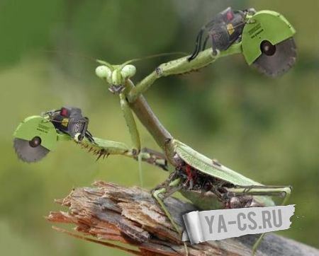 Biohazard сборка сервера Biorobots