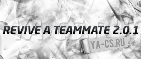 Revive a teammate 2.0.1