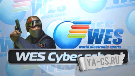 WESgg bots