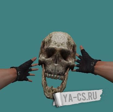 Модель граната