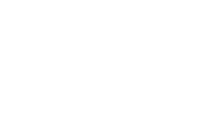 Nice Public Server 2010 Nice Public Server 2010