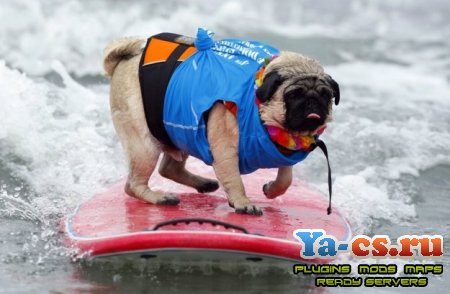 Плагин surf moda cs 1.6