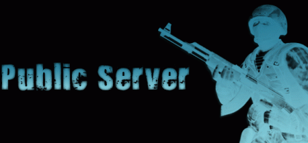 Public Server